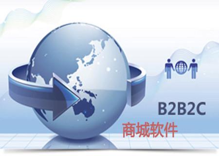 b2b2c商城系统营销趋势分析